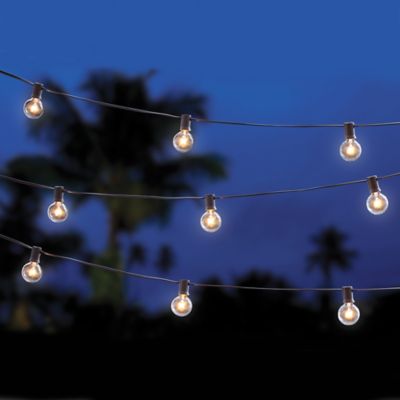 Cafe String Lights - Bed Bath & Beyond